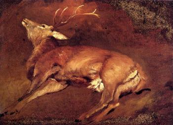 Study Of A Dead Stag